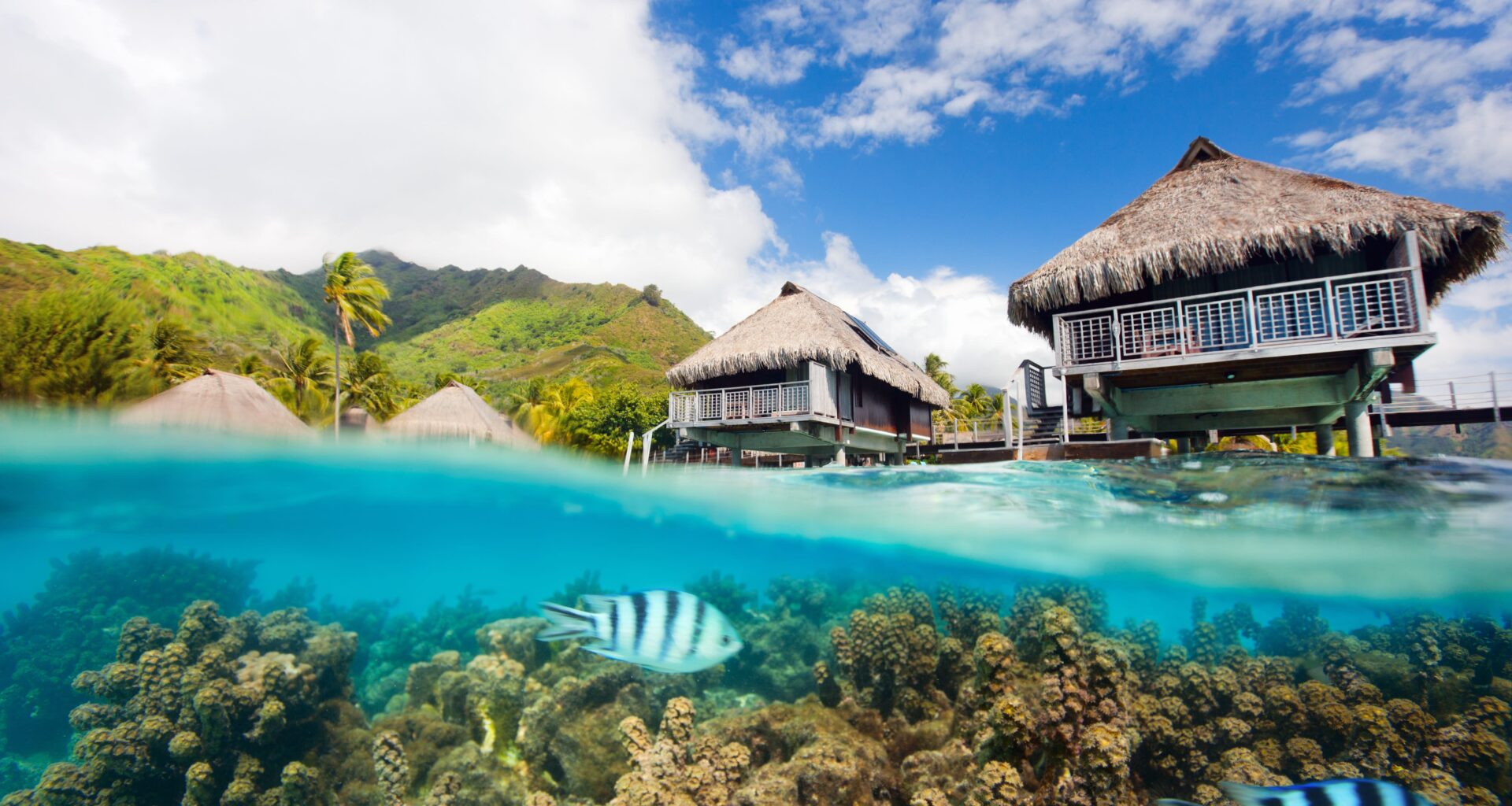 Travel Resorts of America